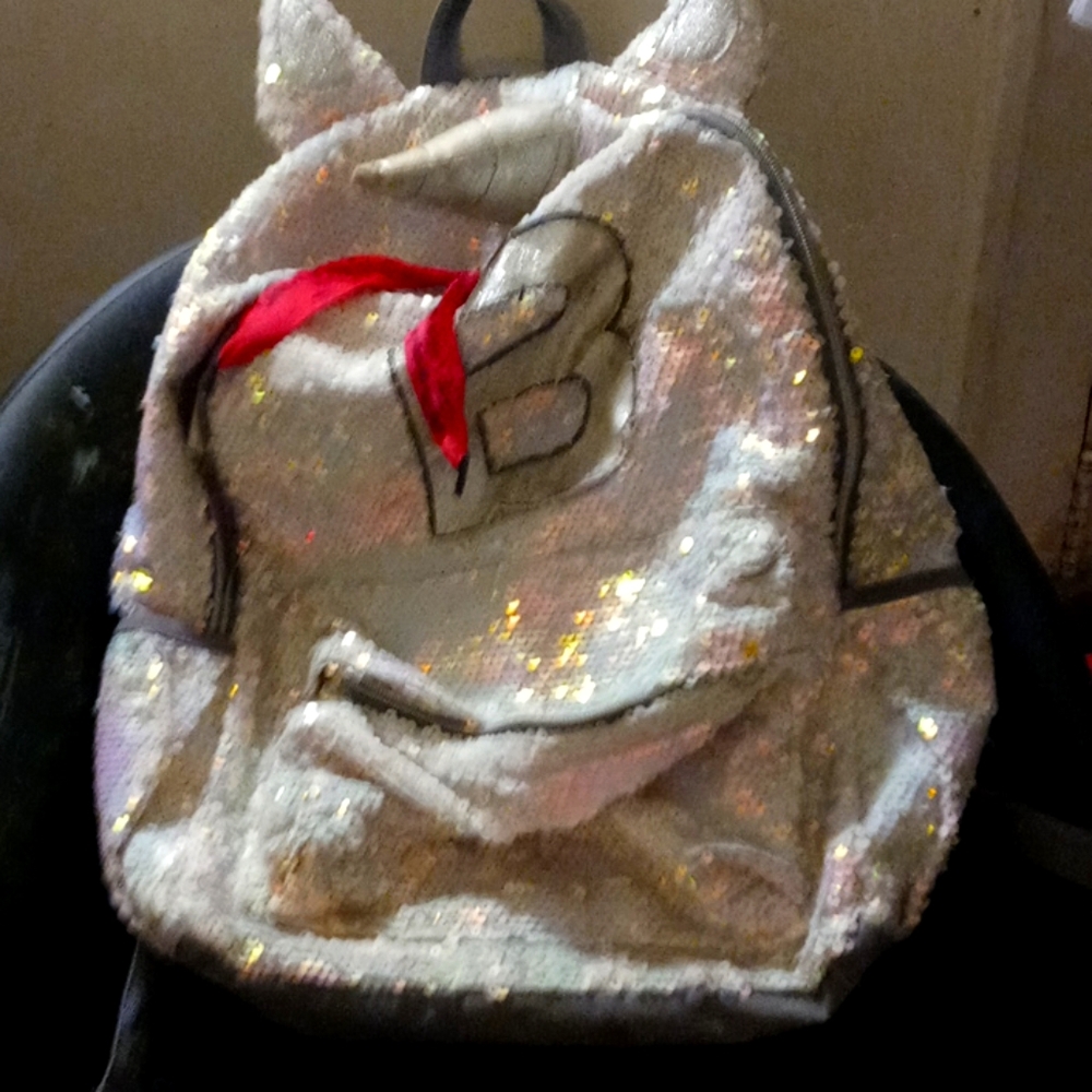 A backpack